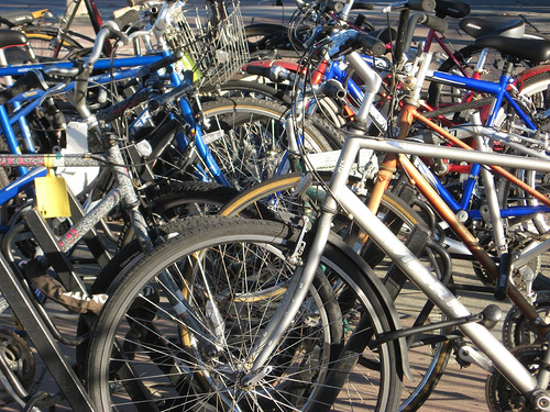 Bikes on a rack in Palo Alto